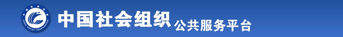 插逼视频四ne全国社会组织信息查询